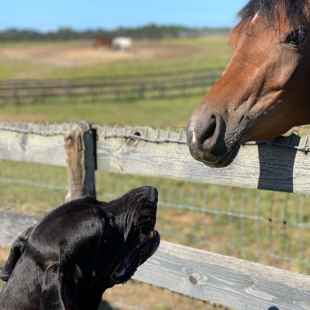 Meet your Posher, Taryn